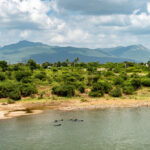 Agritourism in Gir Forest