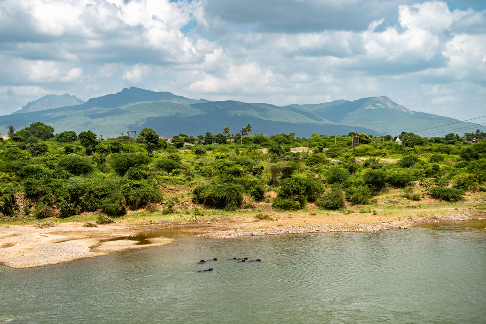 Agritourism in Gir Forest