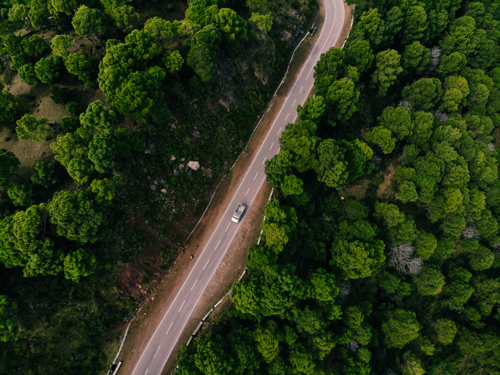 Road Trip Itinerary Ahmedabad to Gir to Diu