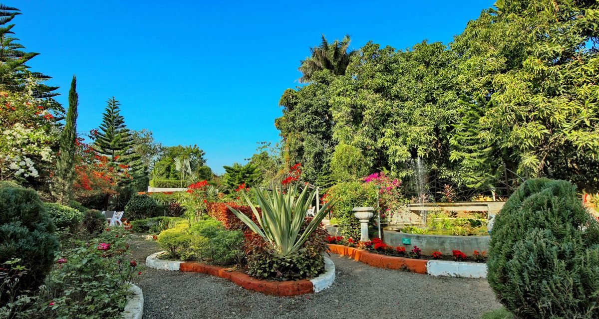 garden-outer-area-3200×2000 (9) garden-outer-area-3200x2000 (9)