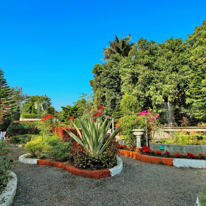 garden-outer-area-3200×2000 (9) garden-outer-area-3200x2000 (9)